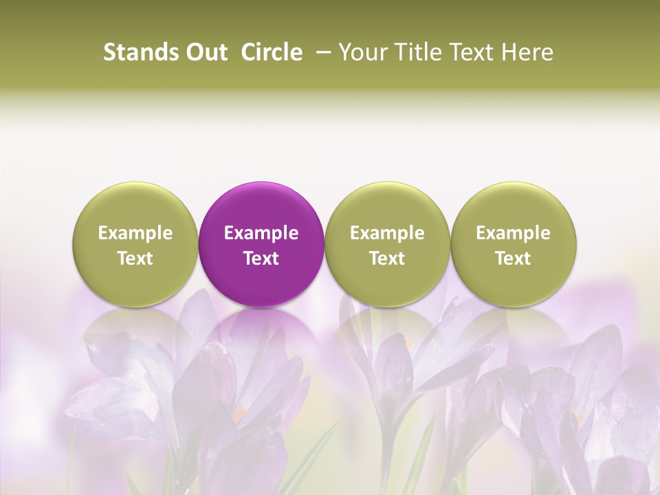 Beautiful Spring Flowers PowerPoint Template