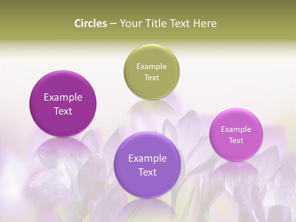 Beautiful Spring Flowers PowerPoint Template