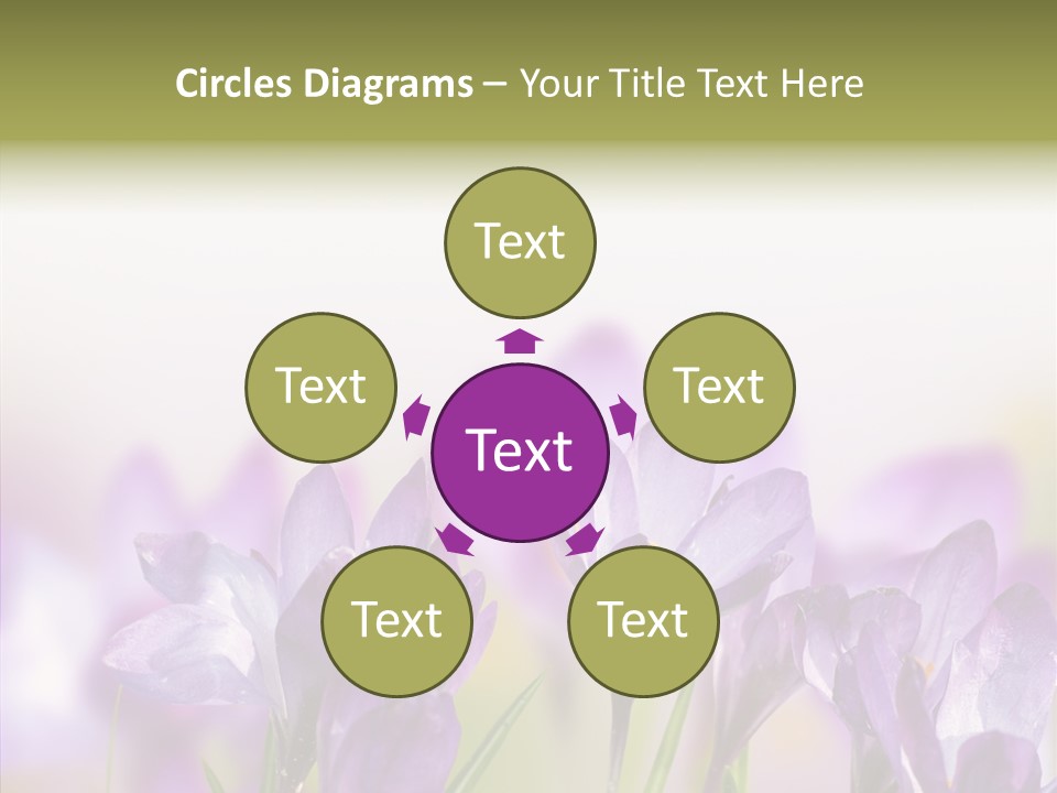 Beautiful Spring Flowers PowerPoint Template