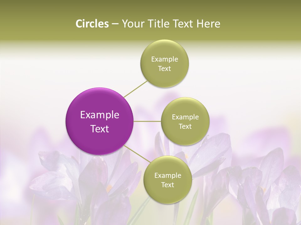 Beautiful Spring Flowers PowerPoint Template