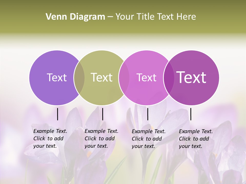 Beautiful Spring Flowers PowerPoint Template