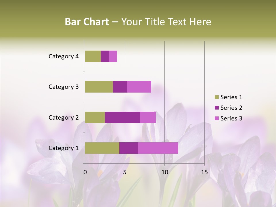 Beautiful Spring Flowers PowerPoint Template