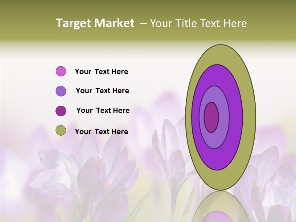 Beautiful Spring Flowers PowerPoint Template