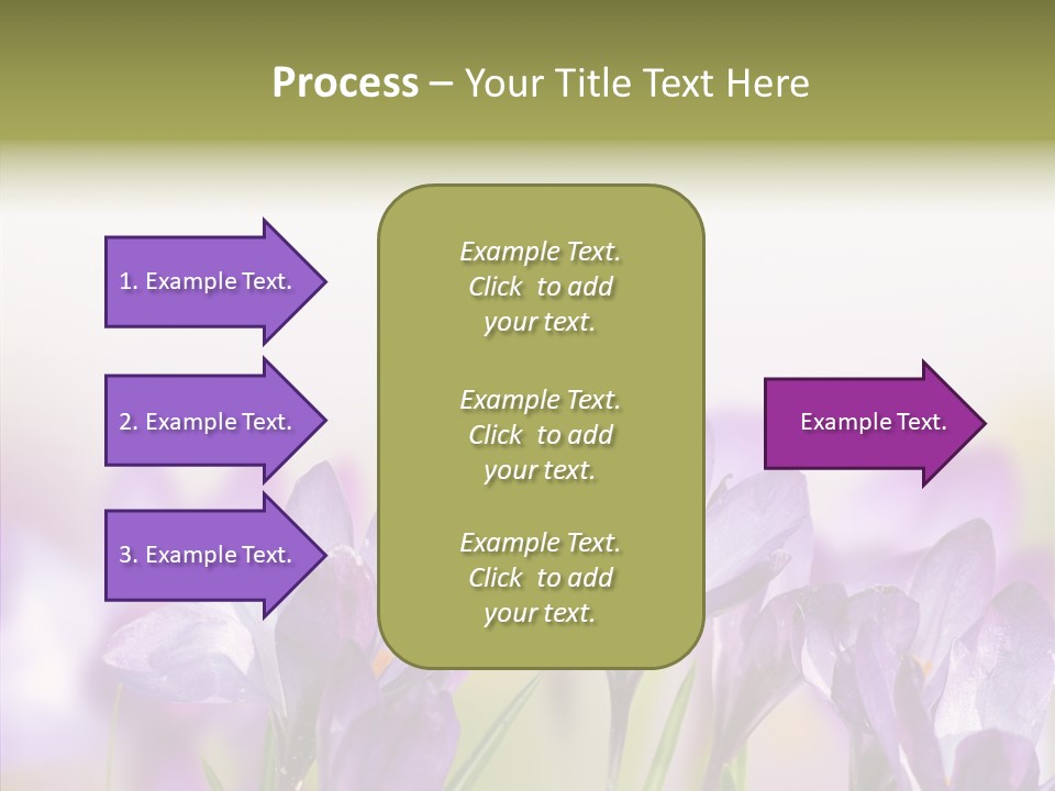 Beautiful Spring Flowers PowerPoint Template
