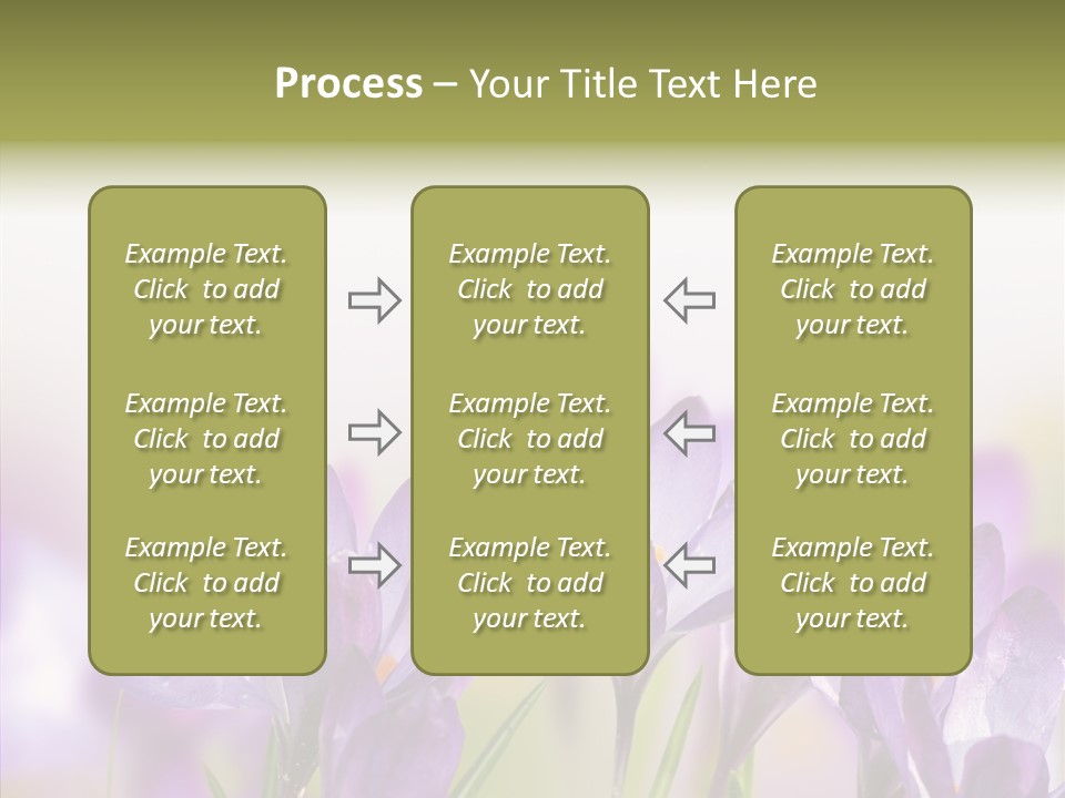 Beautiful Spring Flowers PowerPoint Template