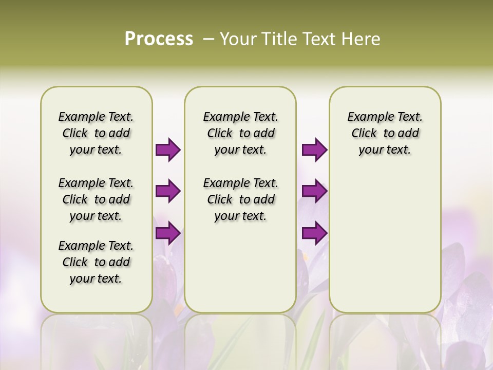 Beautiful Spring Flowers PowerPoint Template