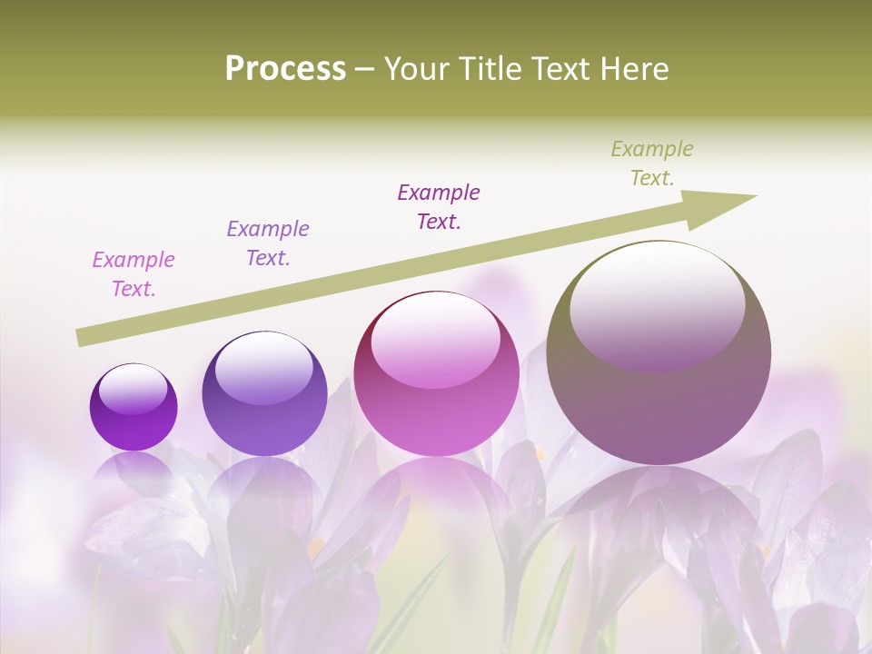 Beautiful Spring Flowers PowerPoint Template