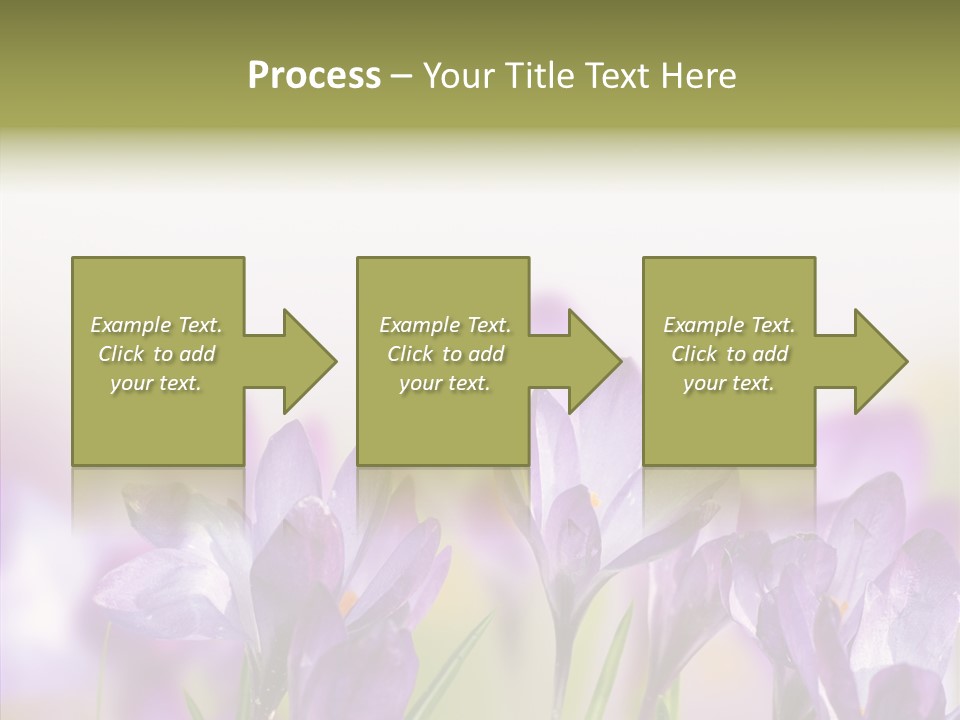 Beautiful Spring Flowers PowerPoint Template