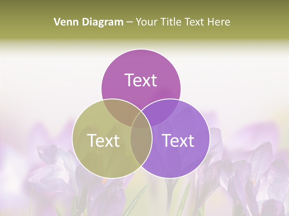 Beautiful Spring Flowers PowerPoint Template