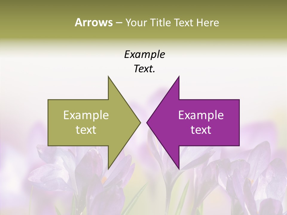 Beautiful Spring Flowers PowerPoint Template