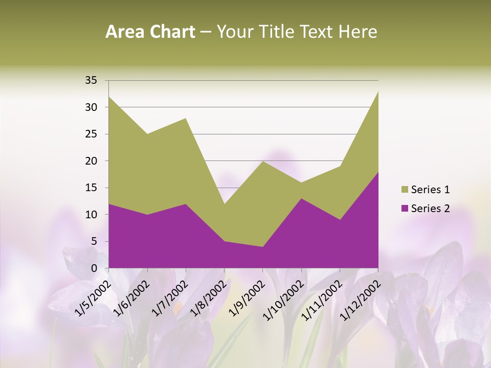 Beautiful Spring Flowers PowerPoint Template