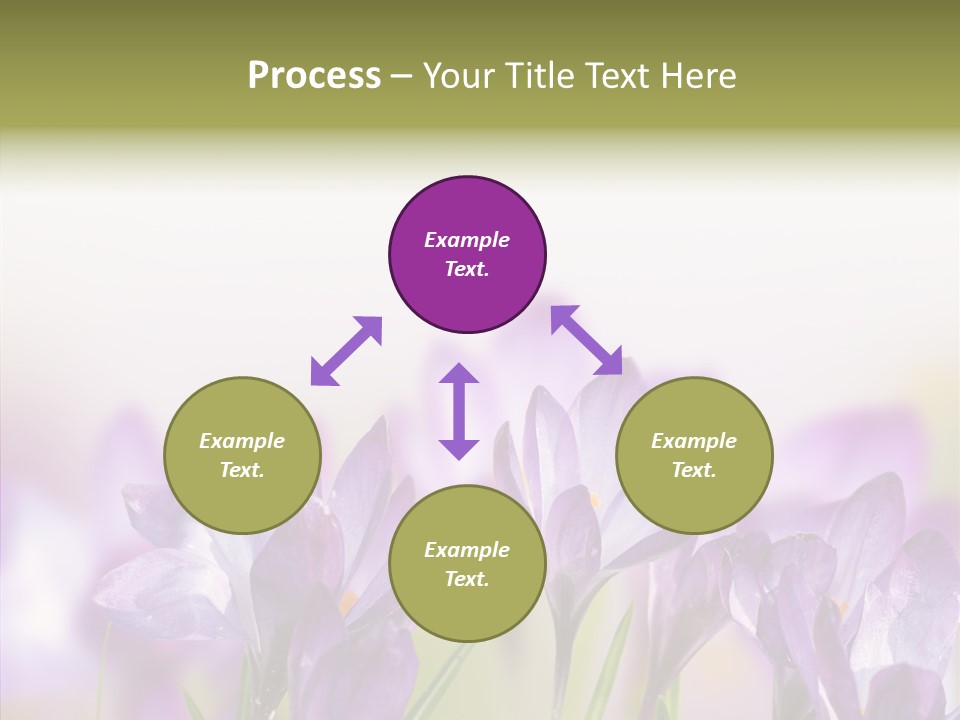 Beautiful Spring Flowers PowerPoint Template