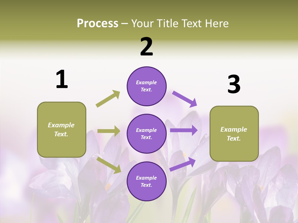 Beautiful Spring Flowers PowerPoint Template
