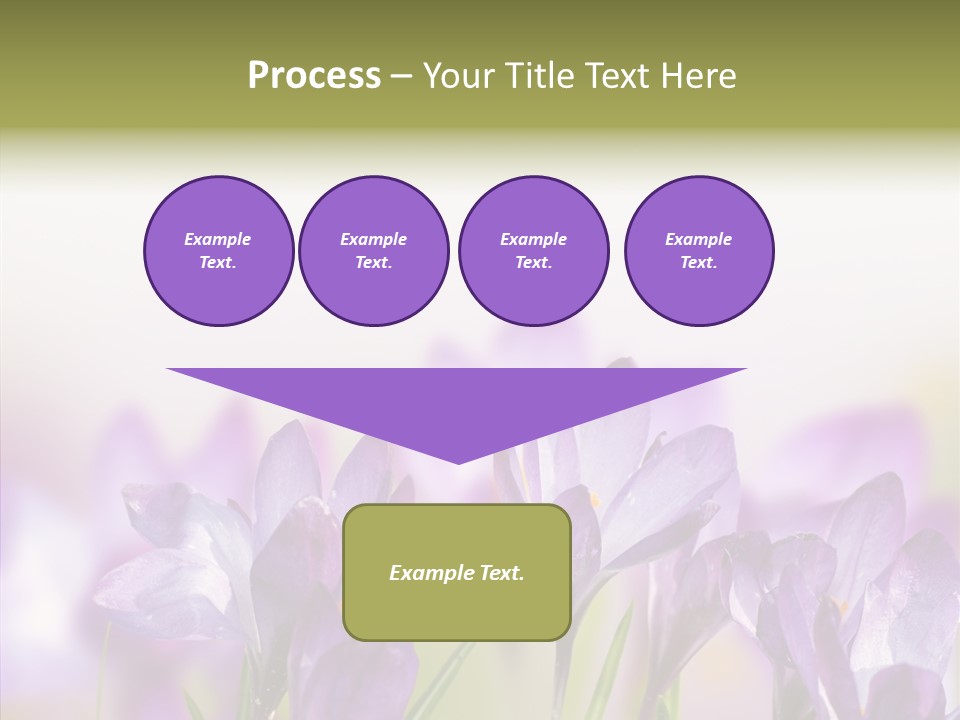 Beautiful Spring Flowers PowerPoint Template