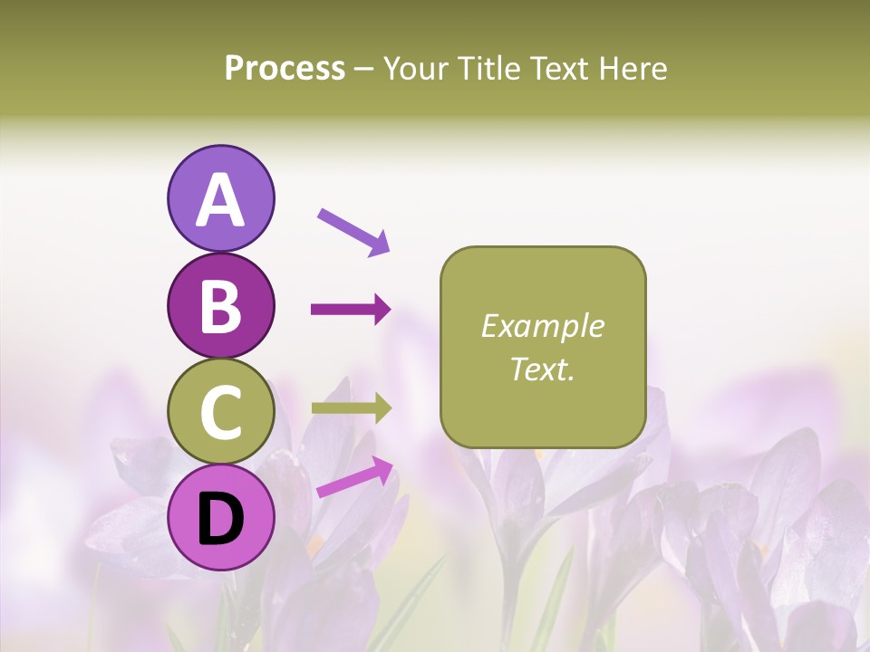 Beautiful Spring Flowers PowerPoint Template