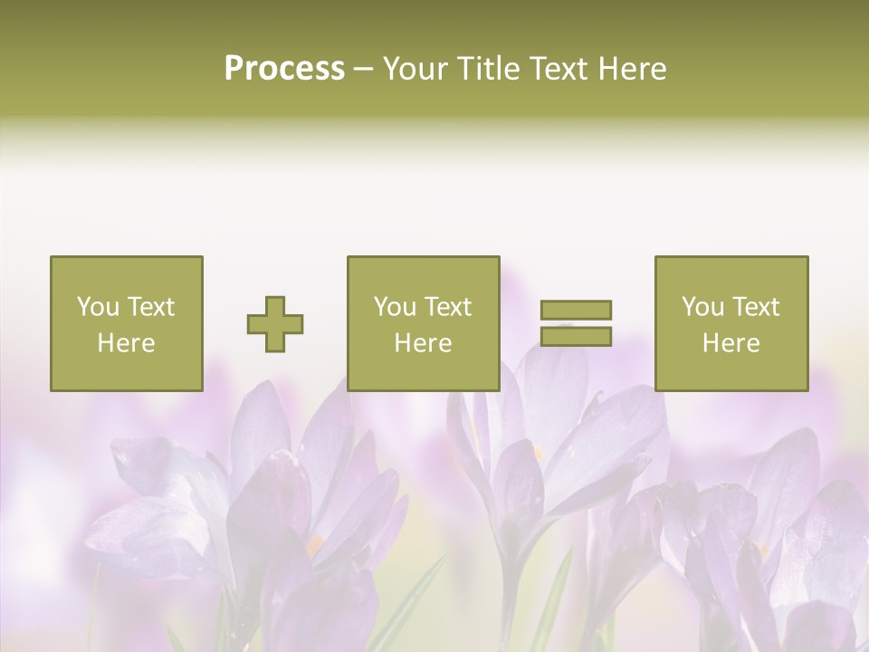 Beautiful Spring Flowers PowerPoint Template