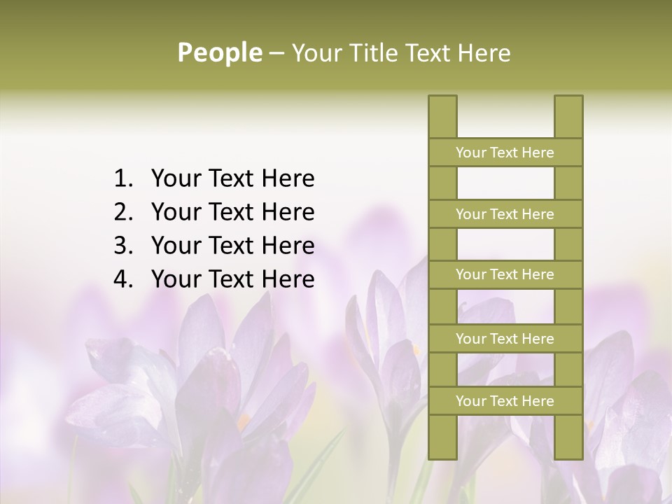 Beautiful Spring Flowers PowerPoint Template