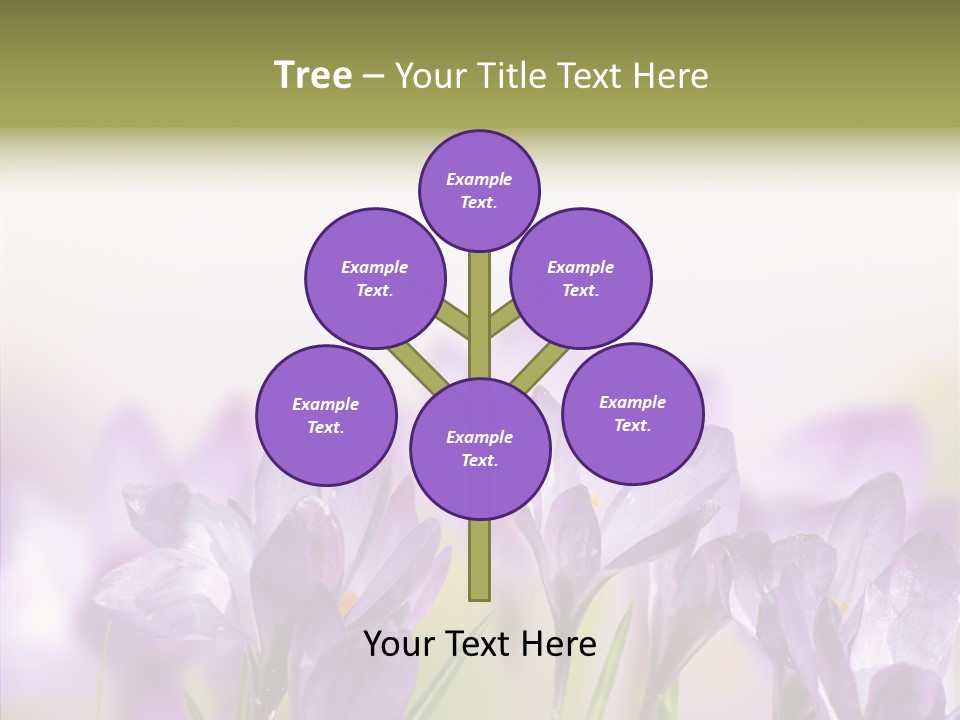 Beautiful Spring Flowers PowerPoint Template