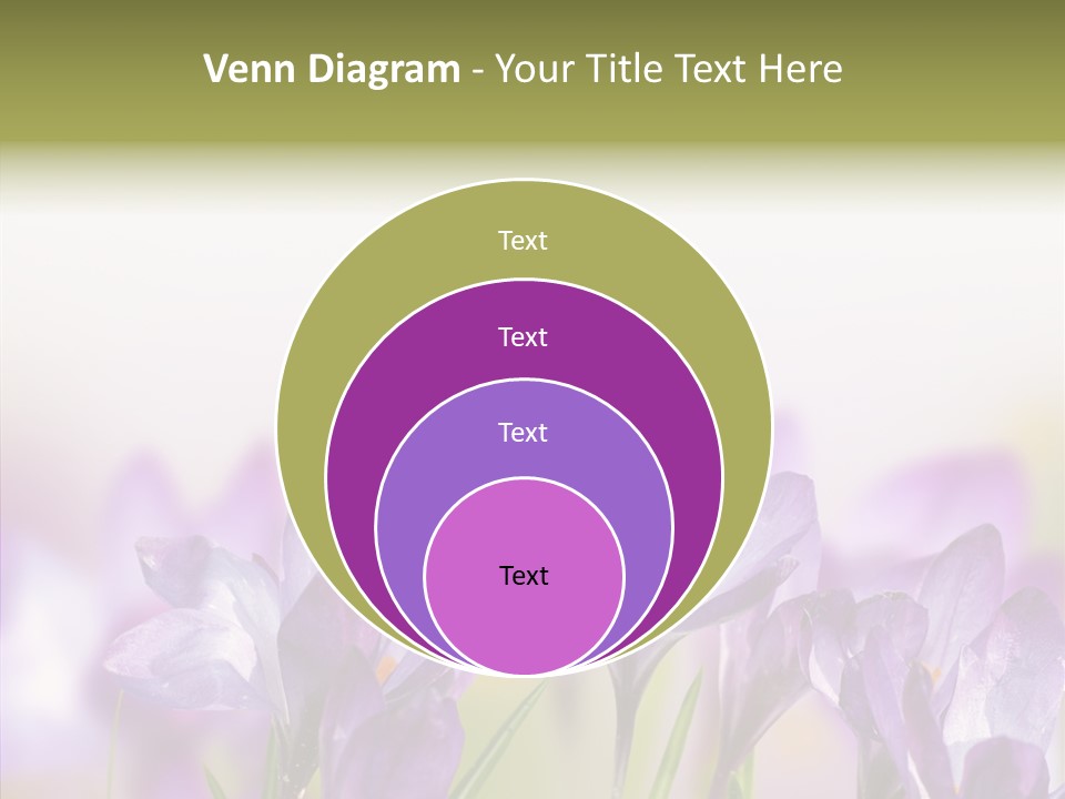 Beautiful Spring Flowers PowerPoint Template