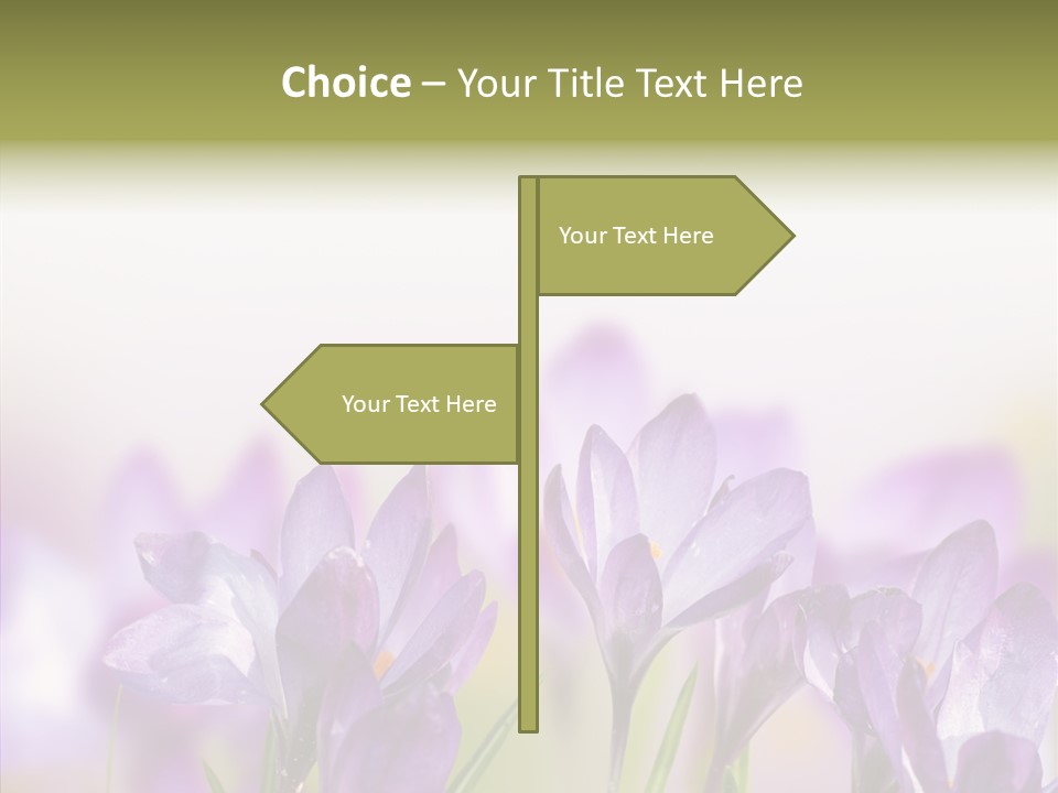 Beautiful Spring Flowers PowerPoint Template