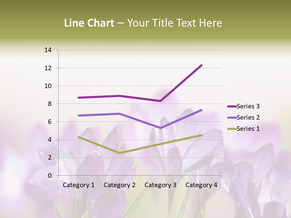 Beautiful Spring Flowers PowerPoint Template