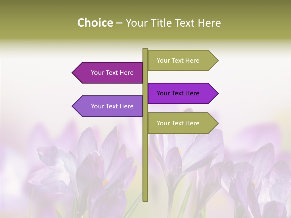 Beautiful Spring Flowers PowerPoint Template