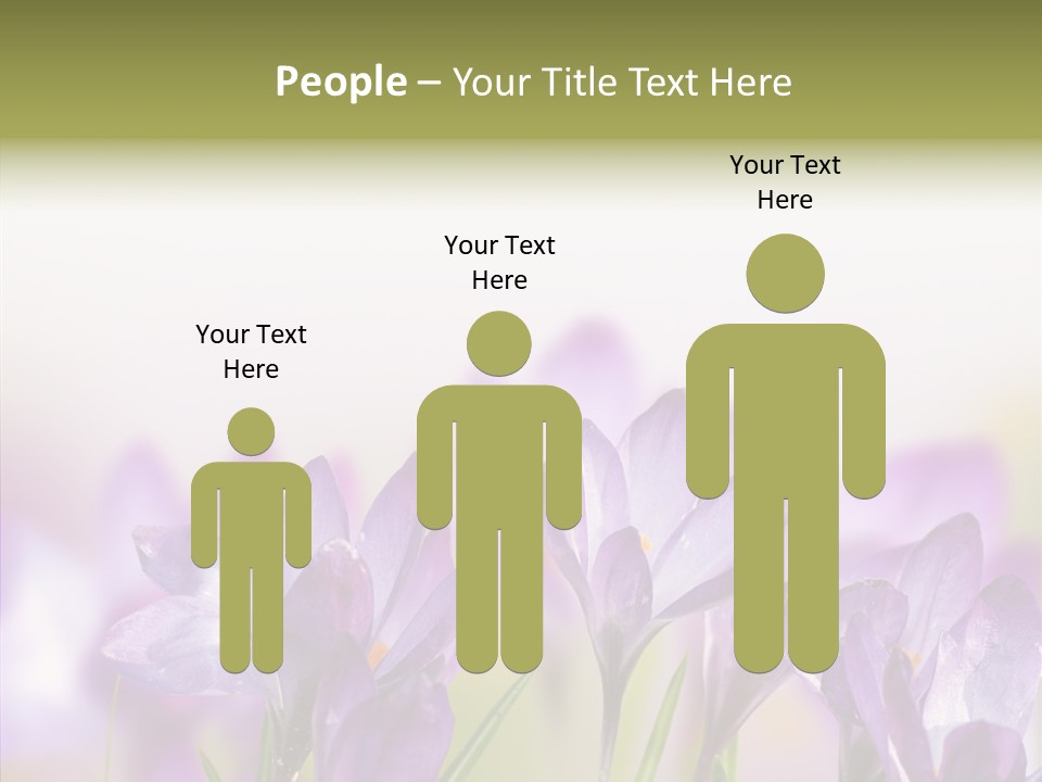 Beautiful Spring Flowers PowerPoint Template