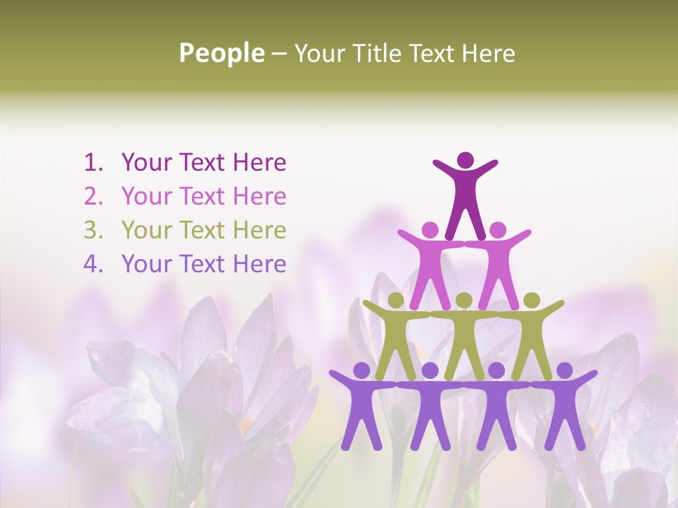Beautiful Spring Flowers PowerPoint Template