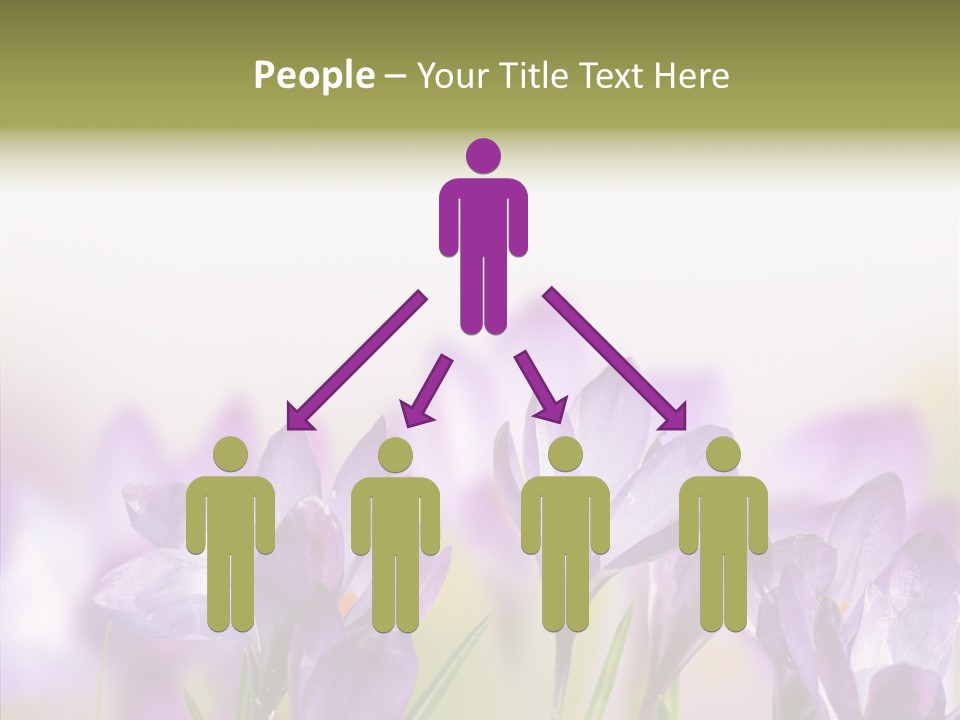 Beautiful Spring Flowers PowerPoint Template