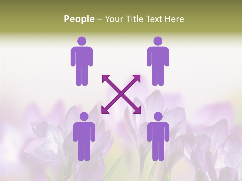 Beautiful Spring Flowers PowerPoint Template