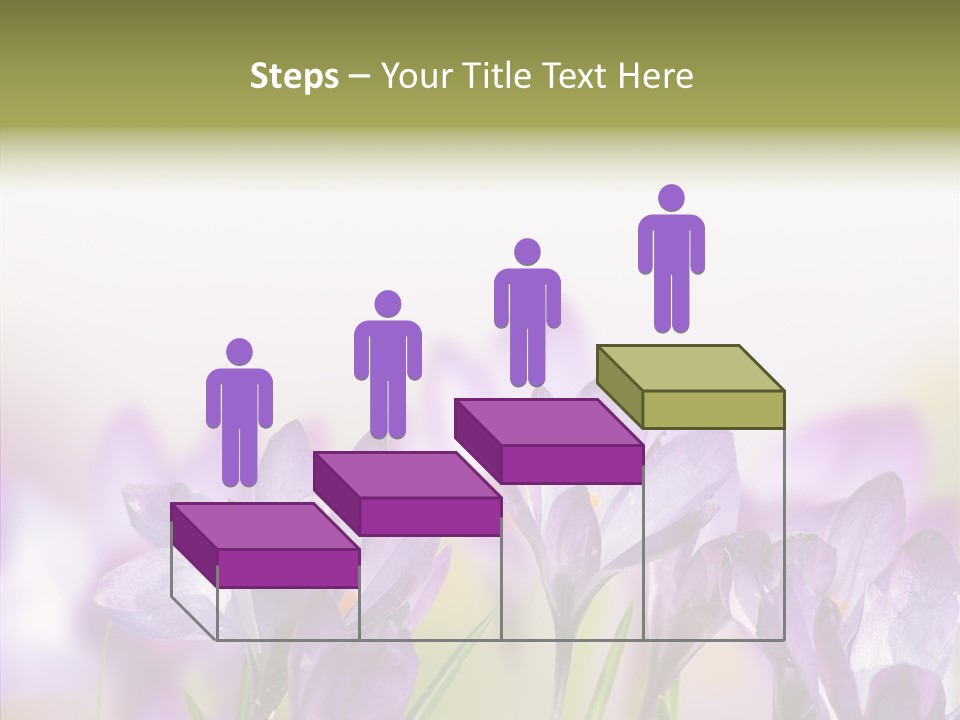 Beautiful Spring Flowers PowerPoint Template