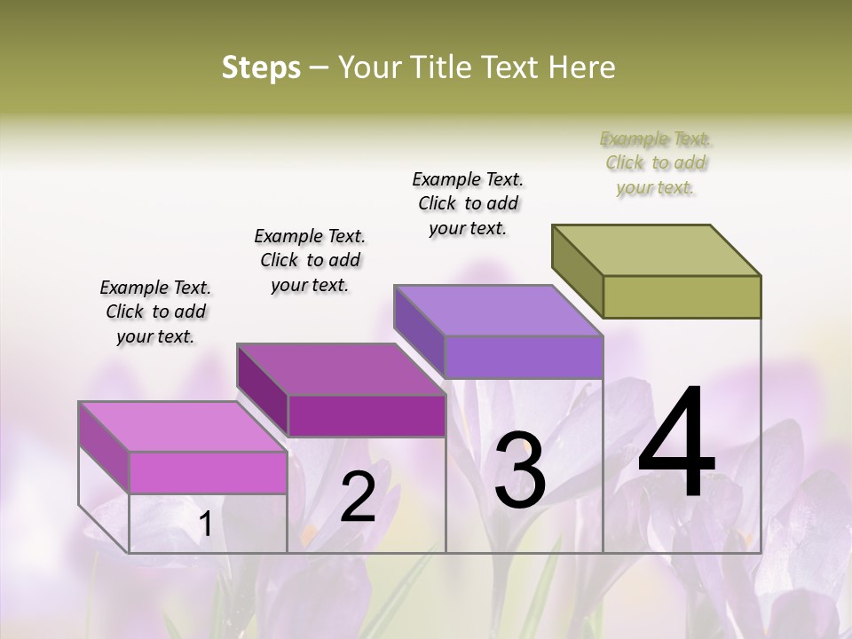 Beautiful Spring Flowers PowerPoint Template