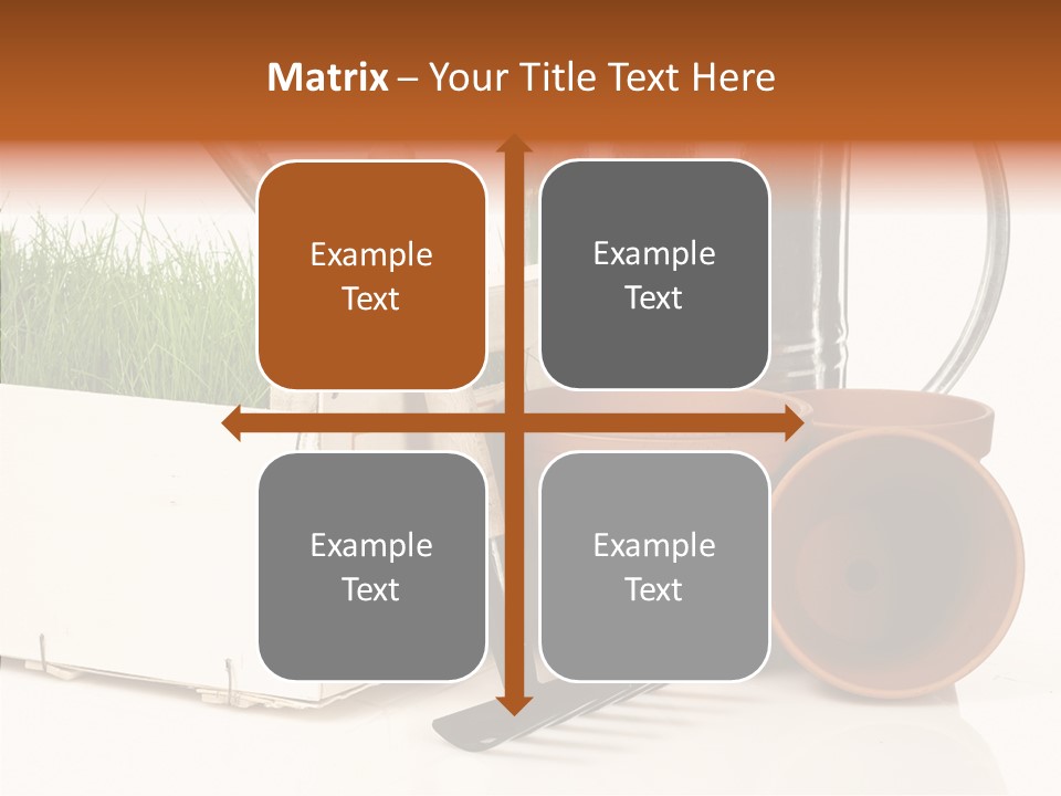 Life Care Concepts PowerPoint Template