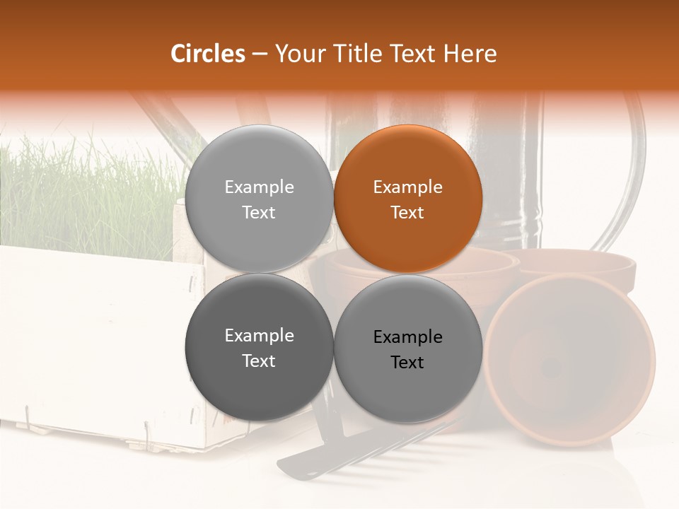 Life Care Concepts PowerPoint Template