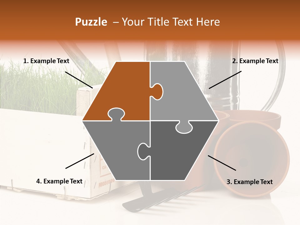 Life Care Concepts PowerPoint Template