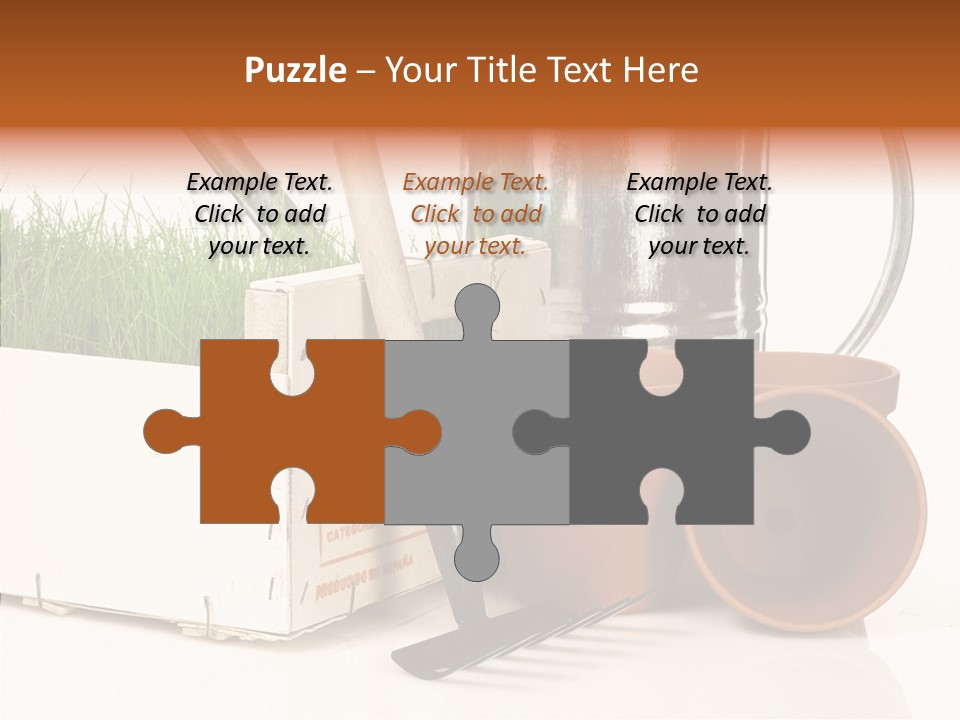 Life Care Concepts PowerPoint Template