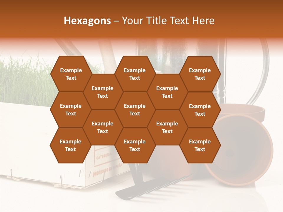 Life Care Concepts PowerPoint Template