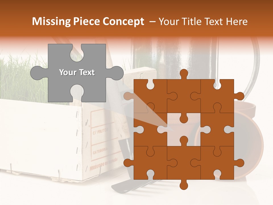 Life Care Concepts PowerPoint Template