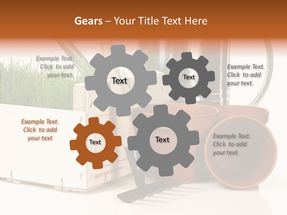 Life Care Concepts PowerPoint Template