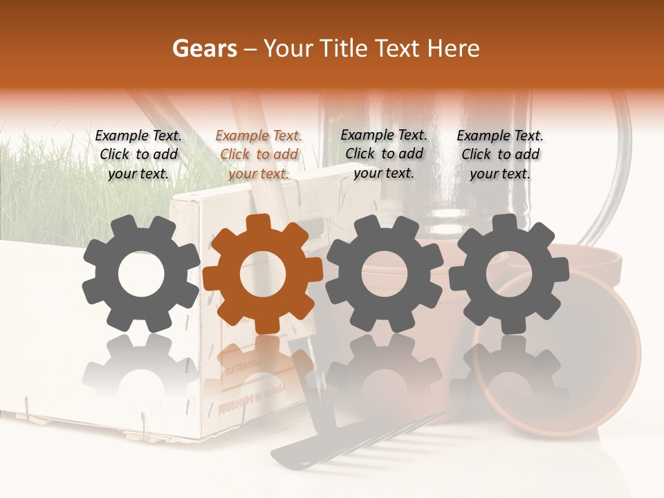 Life Care Concepts PowerPoint Template