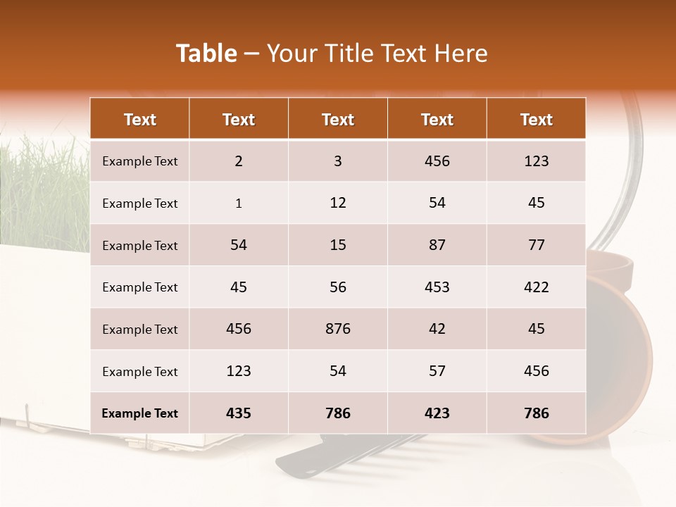 Life Care Concepts PowerPoint Template