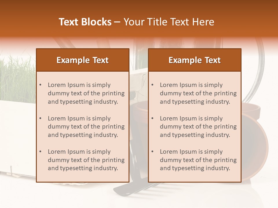 Life Care Concepts PowerPoint Template