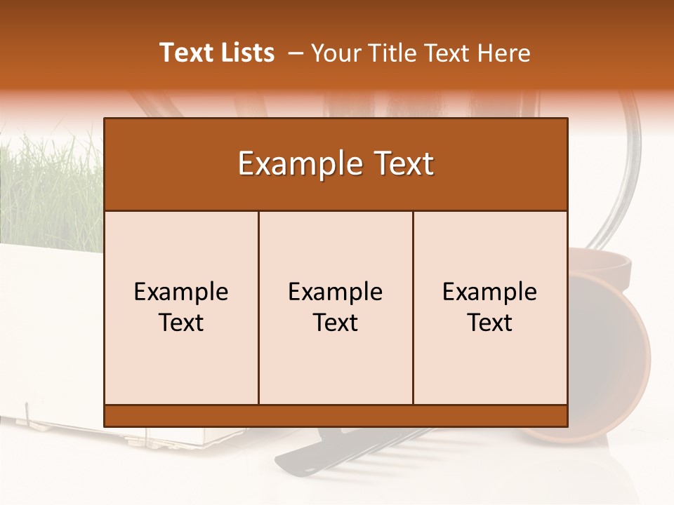 Life Care Concepts PowerPoint Template