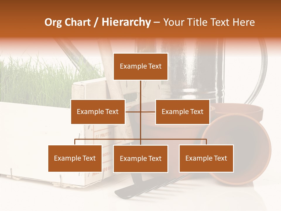 Life Care Concepts PowerPoint Template