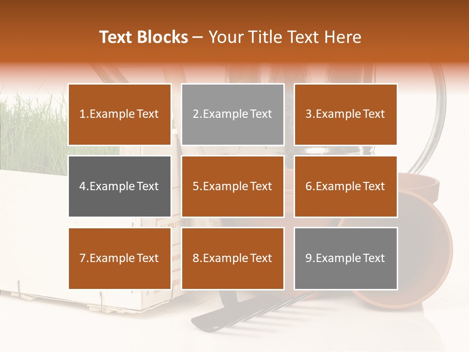 Life Care Concepts PowerPoint Template