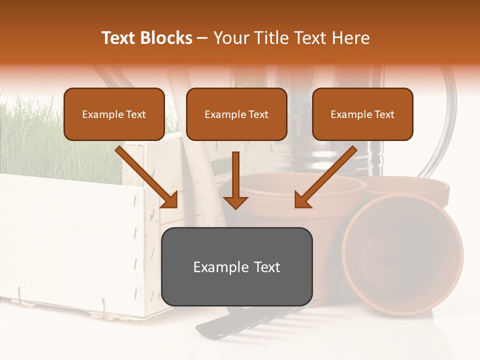 Life Care Concepts PowerPoint Template