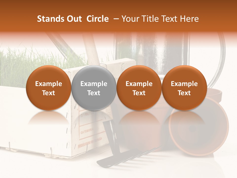 Life Care Concepts PowerPoint Template