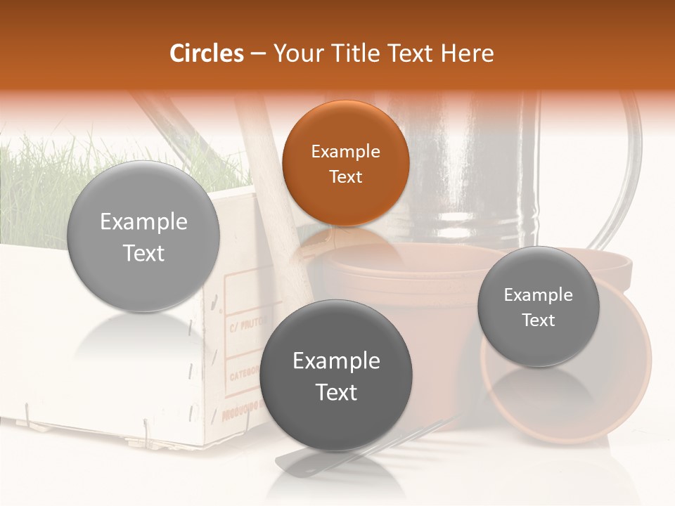 Life Care Concepts PowerPoint Template