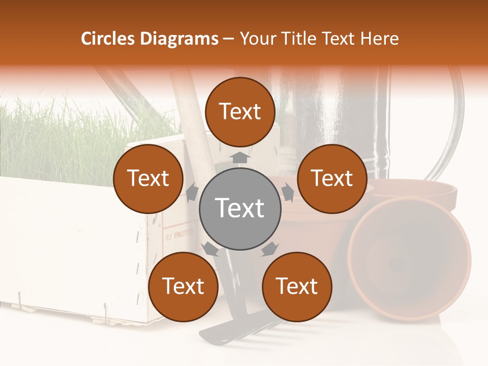Life Care Concepts PowerPoint Template