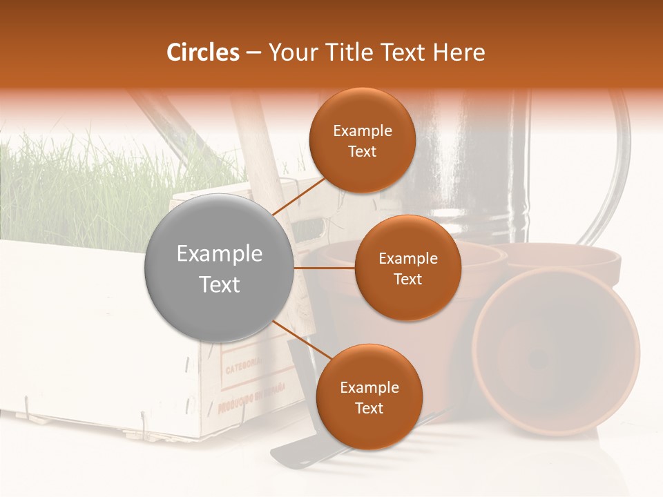 Life Care Concepts PowerPoint Template